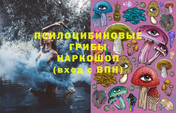 прущие грибы Аркадак