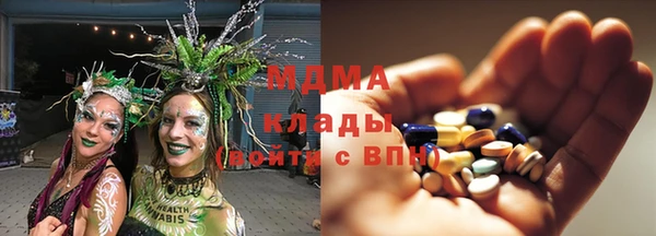 прущие грибы Аркадак