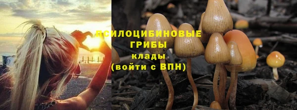 молекула духа Абаза