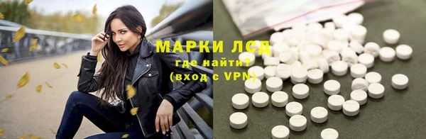 прущие грибы Аркадак