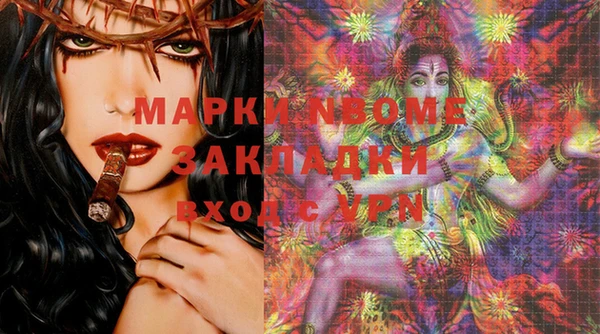 прущие грибы Аркадак