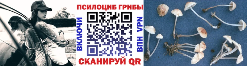 Галлюциногенные грибы мухоморы  цена   Копейск 